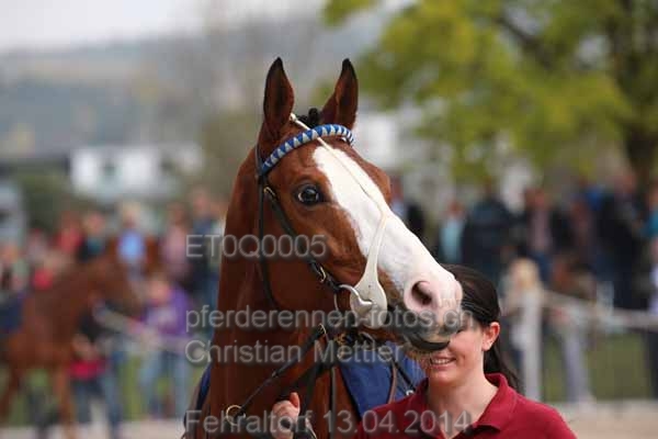 ET0Q0005 prot